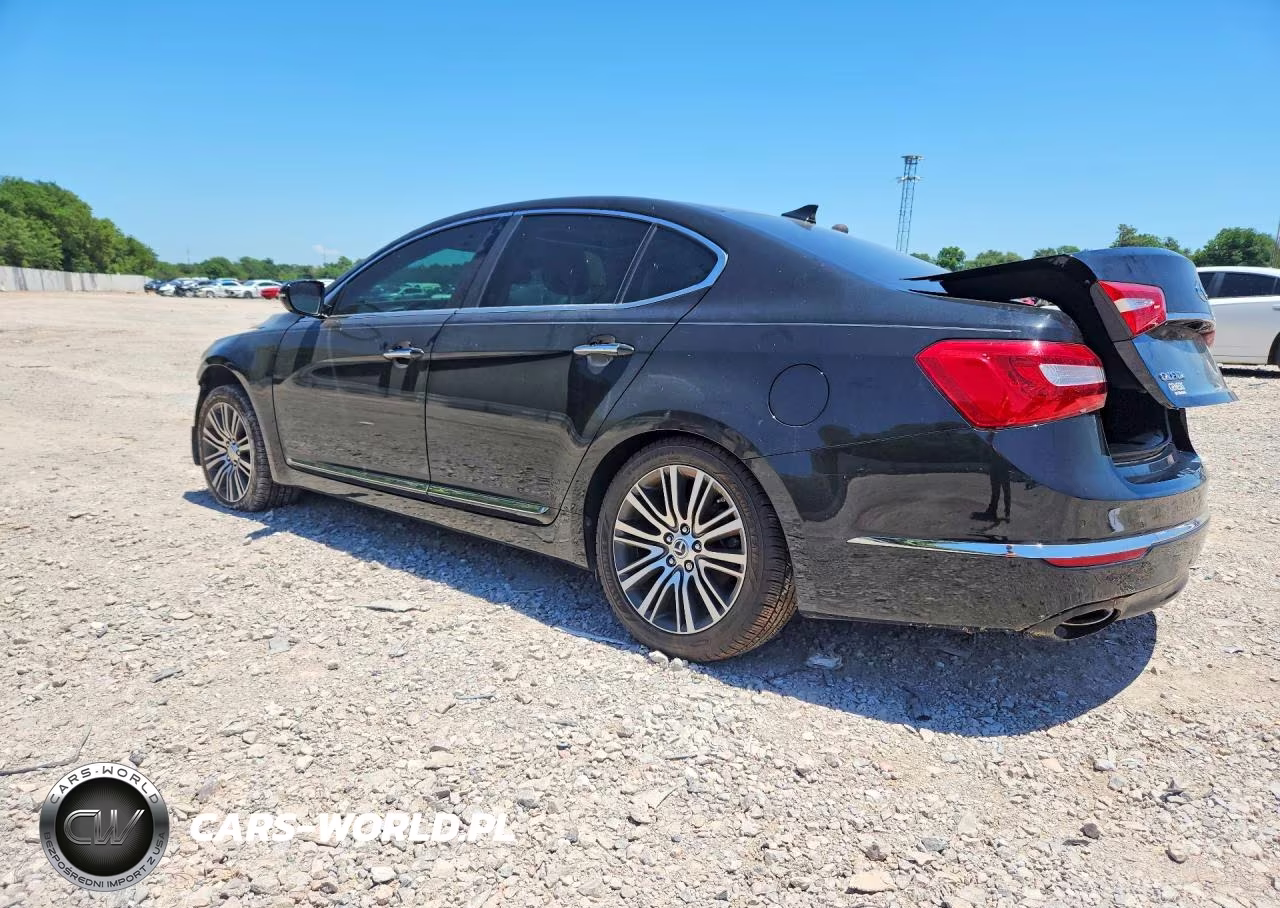 2014 Kia Cadenza Premium VIN:KNALN4D78E5135103 - 2