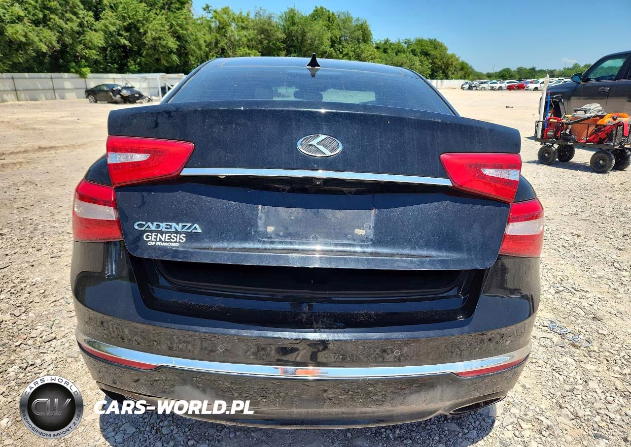 2014 Kia Cadenza Premium VIN:KNALN4D78E5135103 - 6