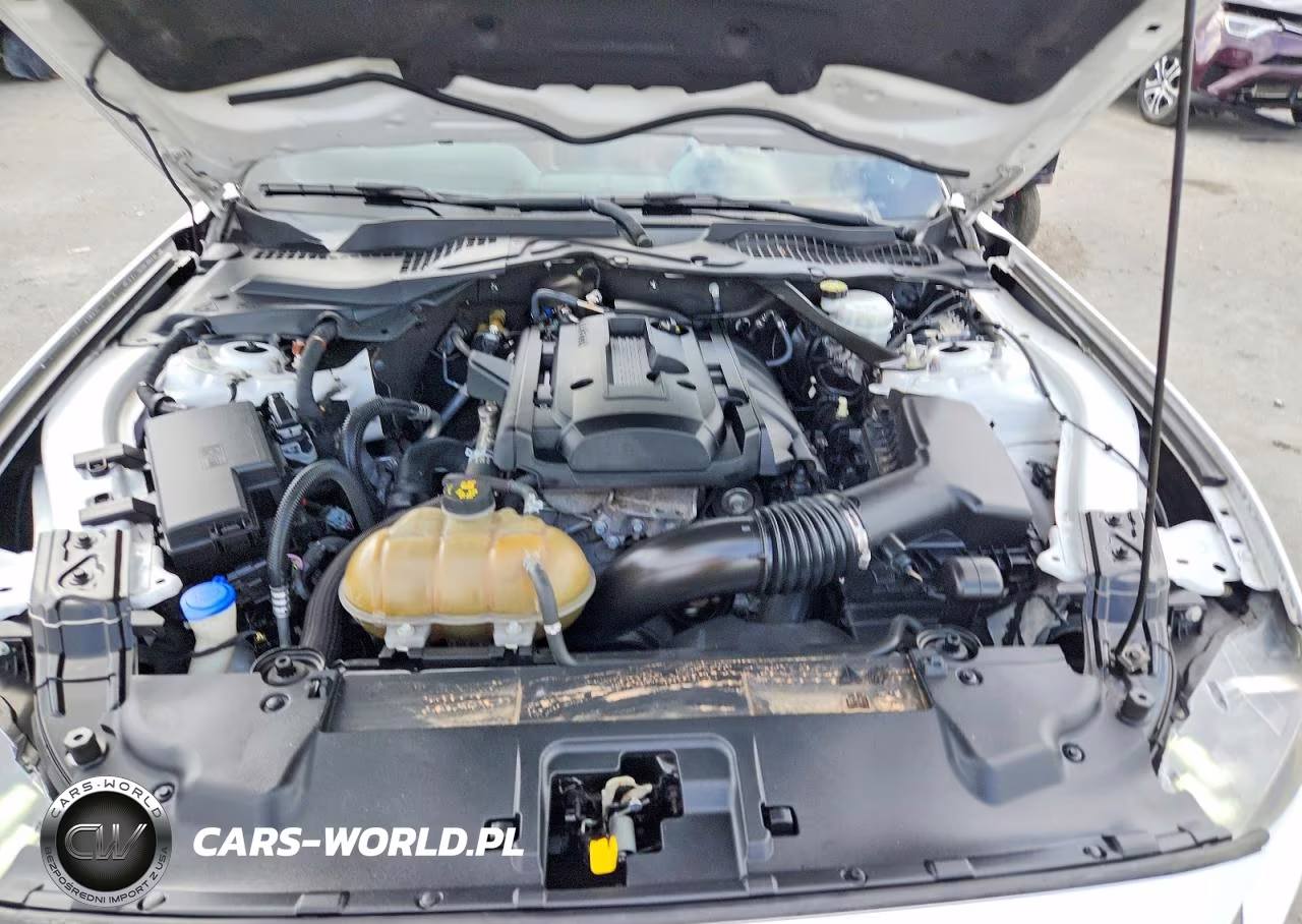 2020 Ford Mustang VIN:1FATP8UHXL5112812 - 11