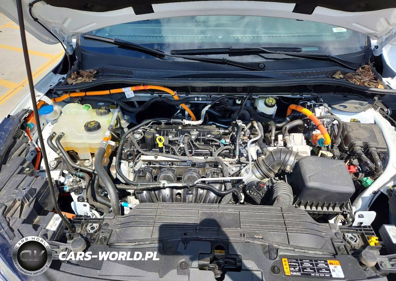 2023 Ford Escape St Line VIN:1FMCU0MZ0PUB19675 - 12