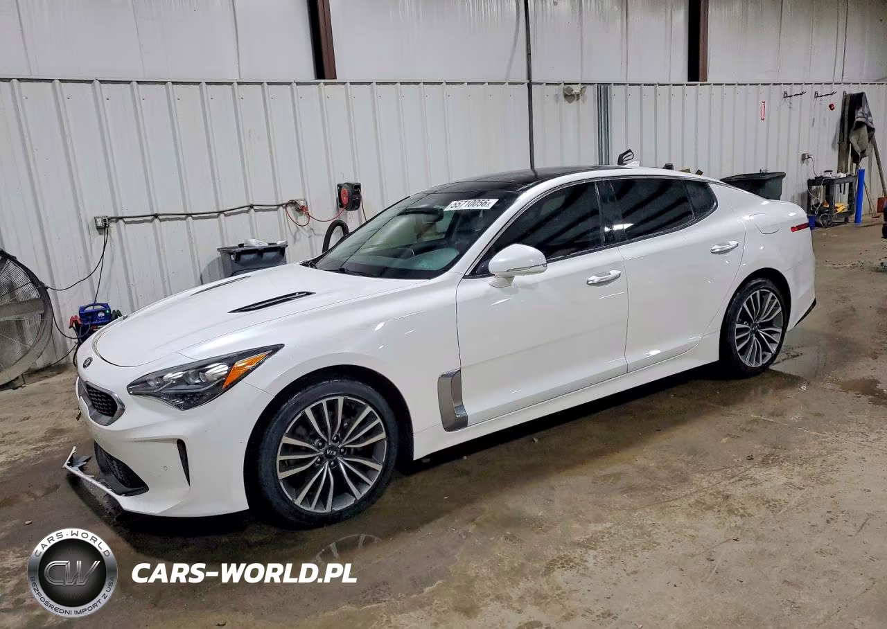 2019 Kia Stinger Premium VIN:KNAE25LA2K6062188 - 1