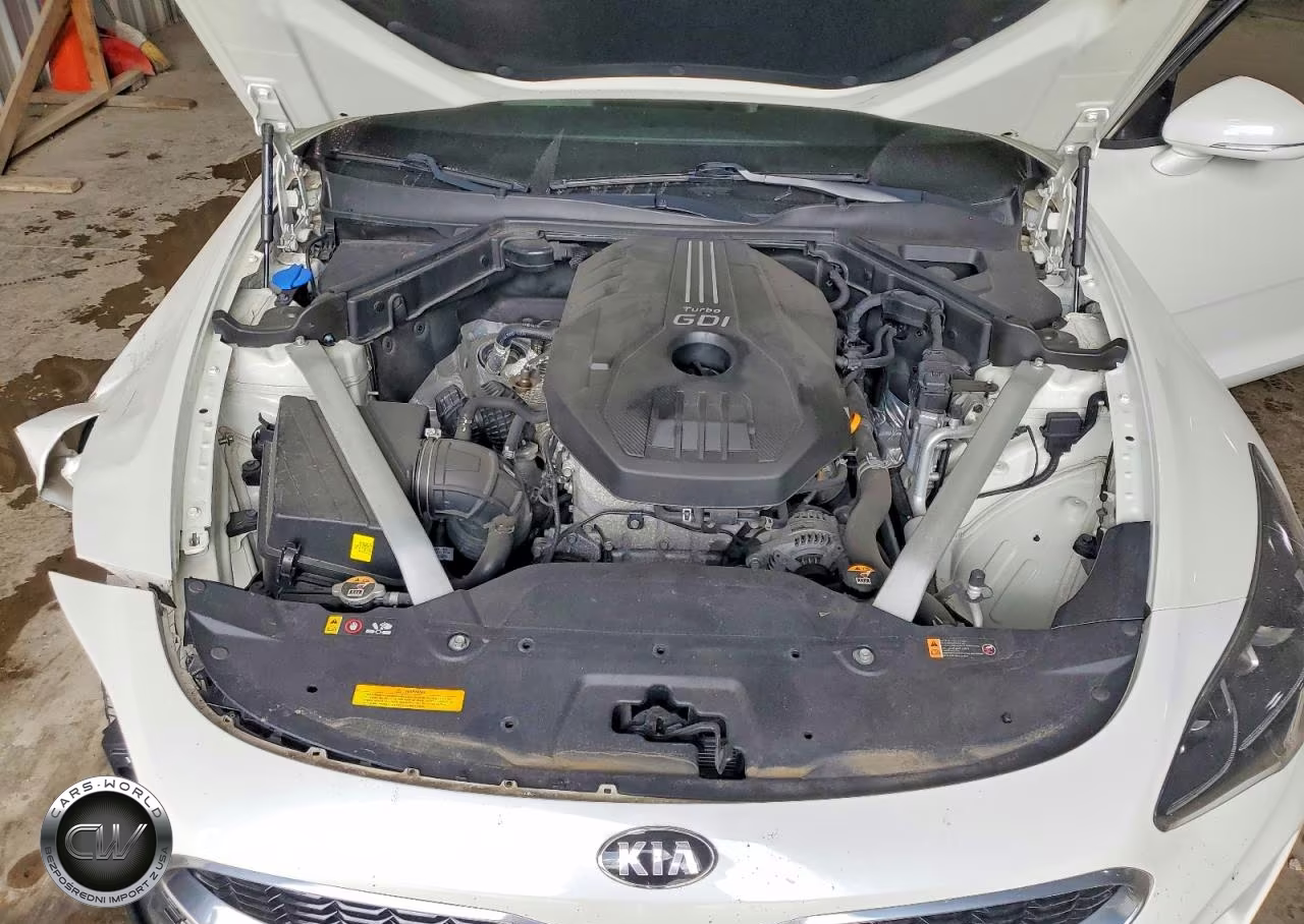 2019 Kia Stinger Premium VIN:KNAE25LA2K6062188 - 11