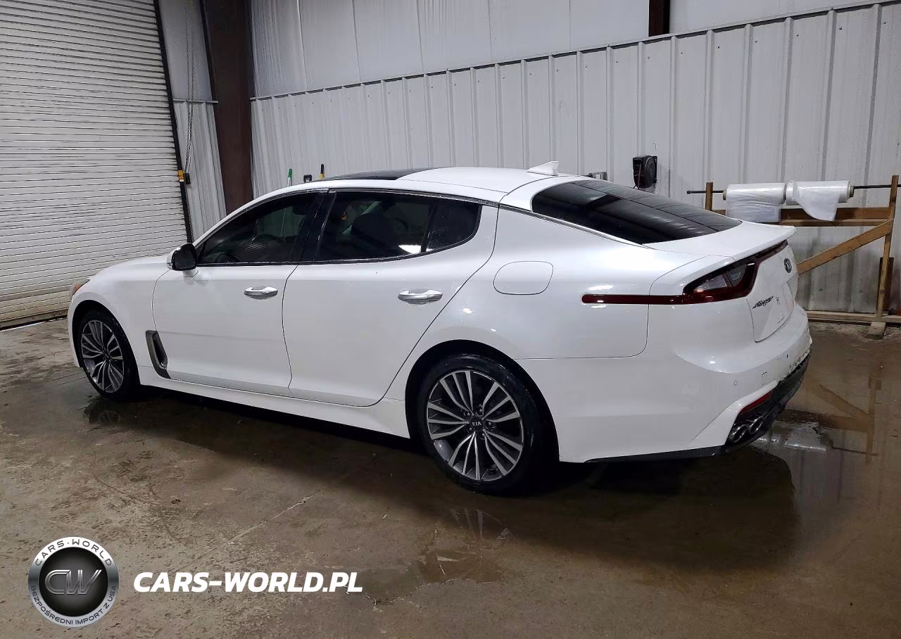 2019 Kia Stinger Premium VIN:KNAE25LA2K6062188 - 2