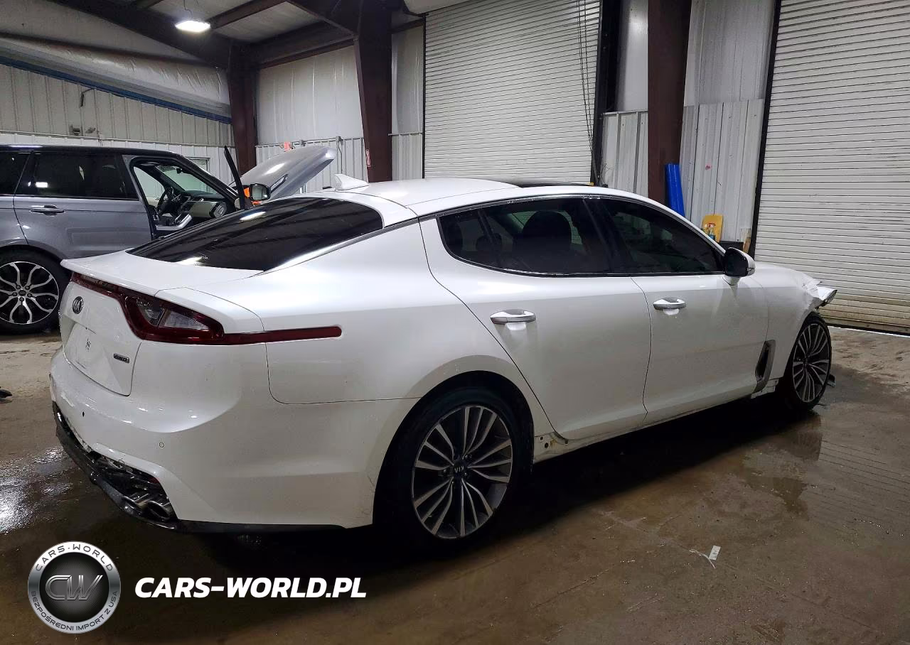 2019 Kia Stinger Premium VIN:KNAE25LA2K6062188 - 3