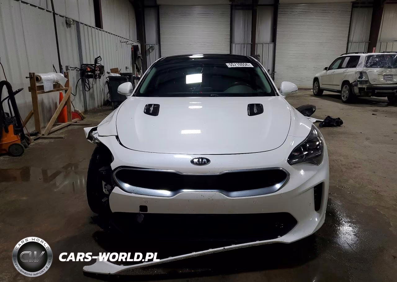 2019 Kia Stinger Premium VIN:KNAE25LA2K6062188 - 5