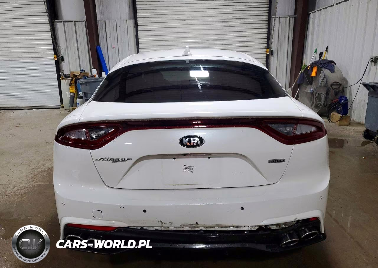 2019 Kia Stinger Premium VIN:KNAE25LA2K6062188 - 6