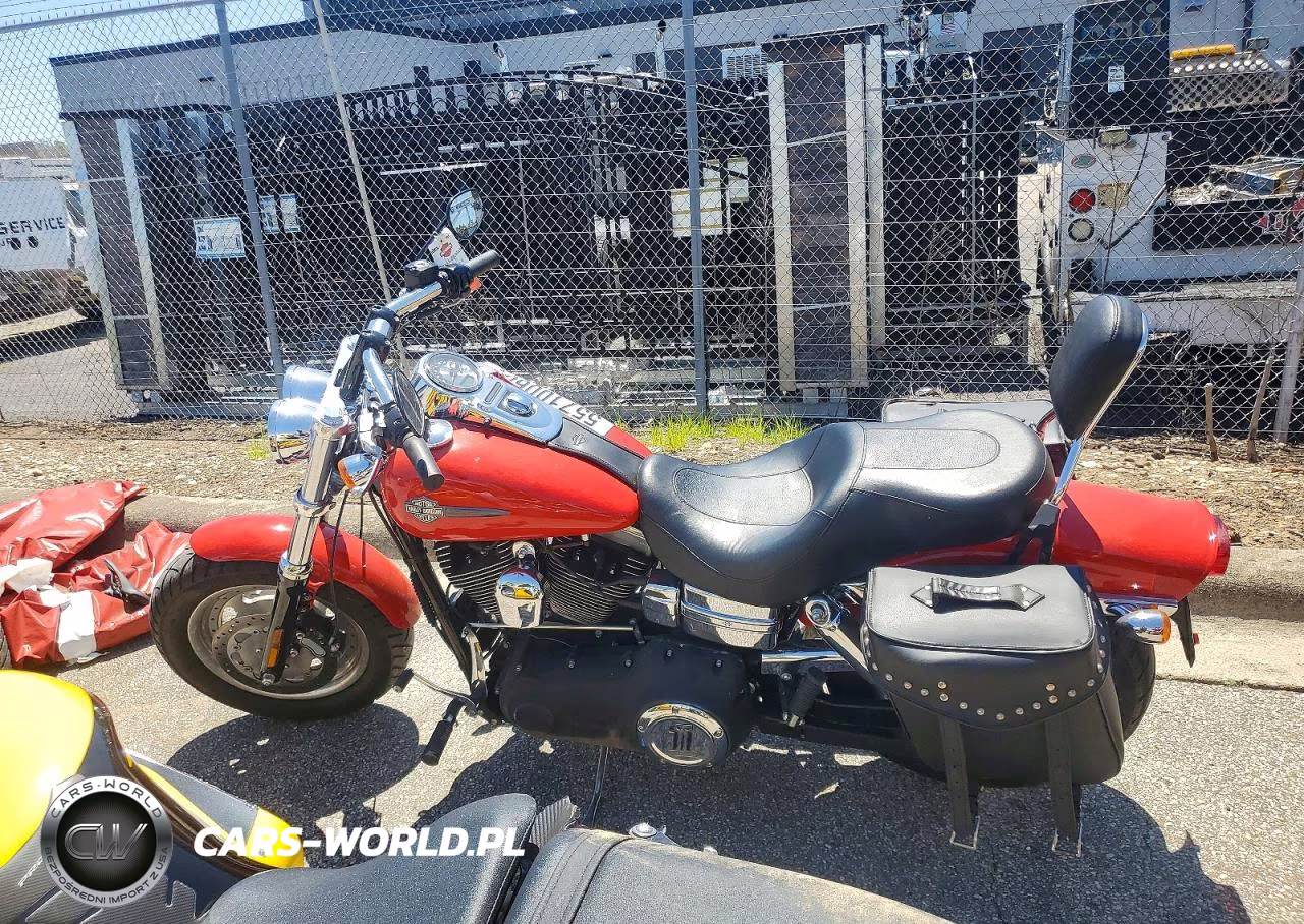 2010 Harley-Davidson Fxdf VIN:1HD1GY419AC319915 - 3
