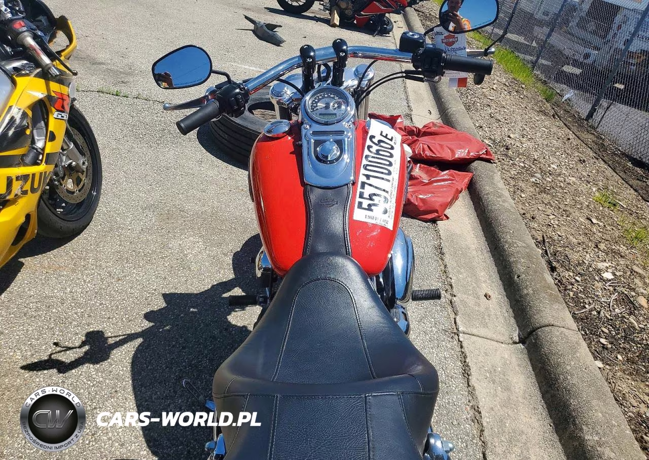 2010 Harley-Davidson Fxdf VIN:1HD1GY419AC319915 - 6