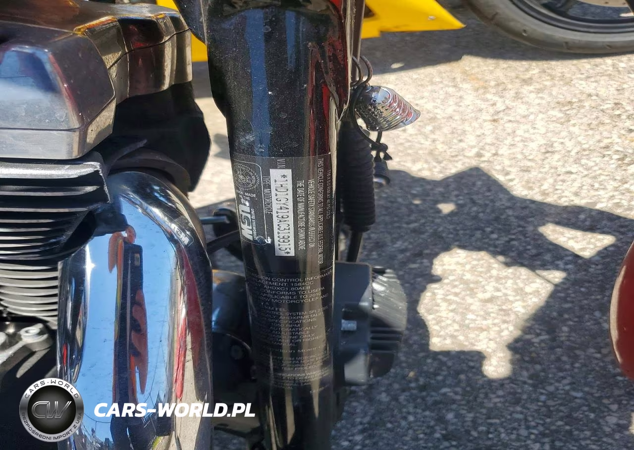 2010 Harley-Davidson Fxdf VIN:1HD1GY419AC319915 - 9