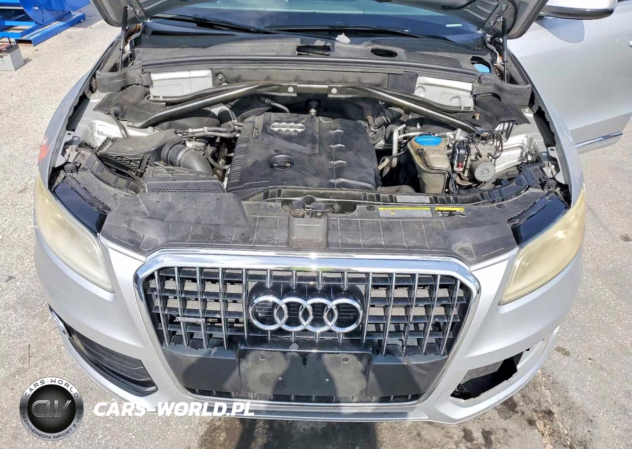 2013 Audi Q5 Premium Plus VIN:WA1LFAFP2DA022484 - 12