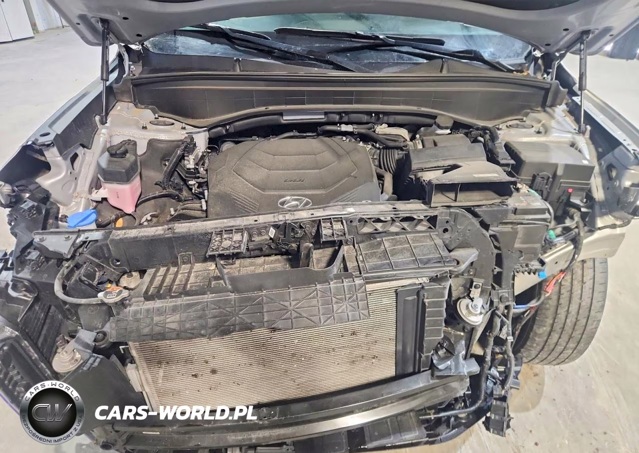 2024 Hyundai Palisade Sel VIN:KM8R24GE4RU800036 - 12