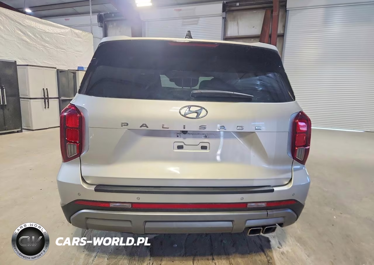 2024 Hyundai Palisade Sel VIN:KM8R24GE4RU800036 - 6
