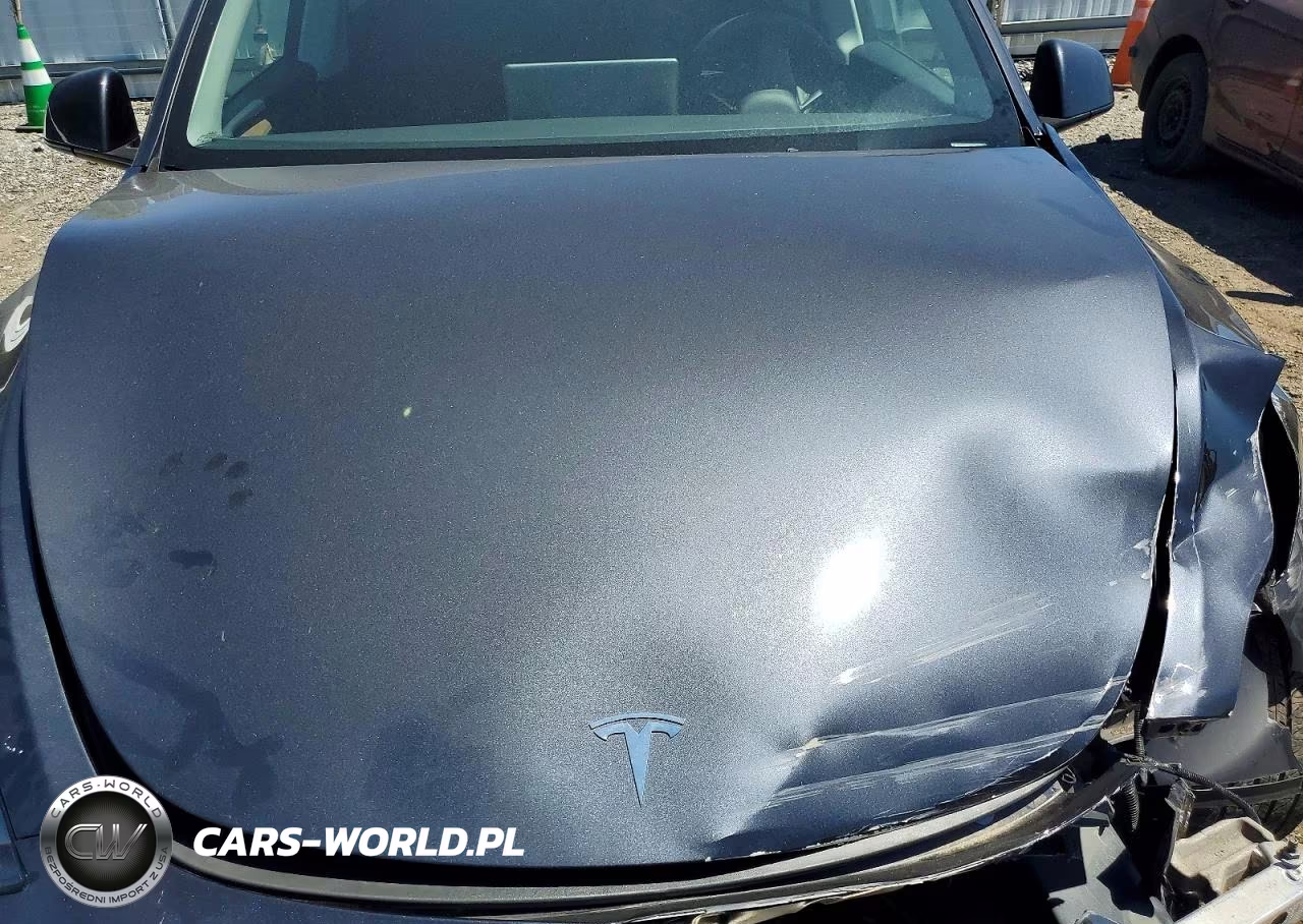 2024 Tesla Model Y VIN:7SAYGDEE6RA321484 - 11
