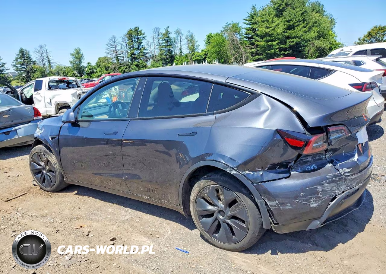 2024 Tesla Model Y VIN:7SAYGDEE6RA321484 - 2
