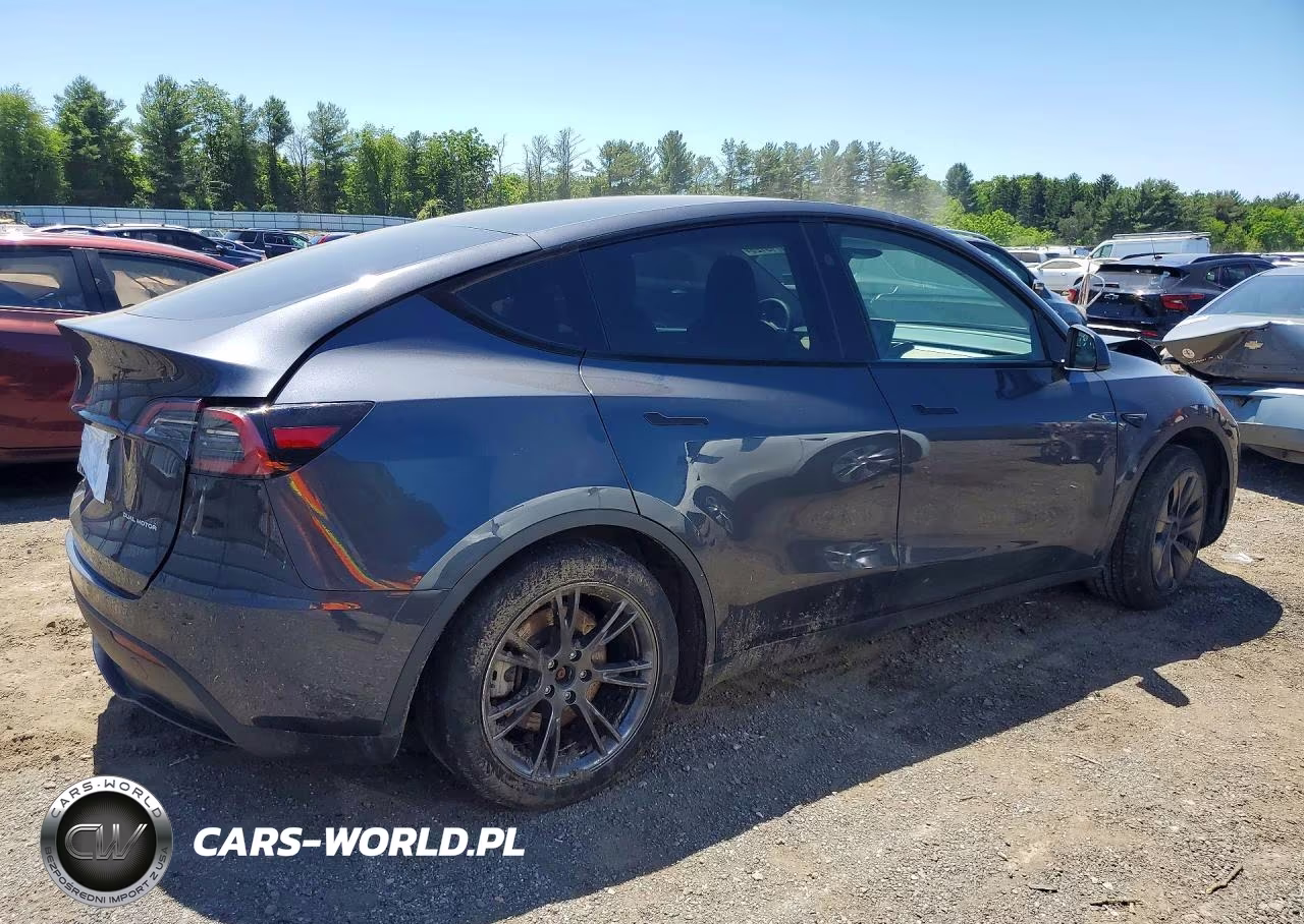 2024 Tesla Model Y VIN:7SAYGDEE6RA321484 - 3