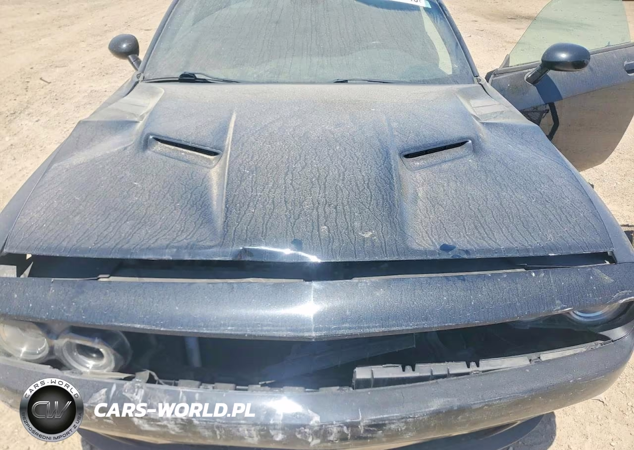 2015 Dodge Challenger Sxt VIN:2C3CDZAG9FH877483 - 11