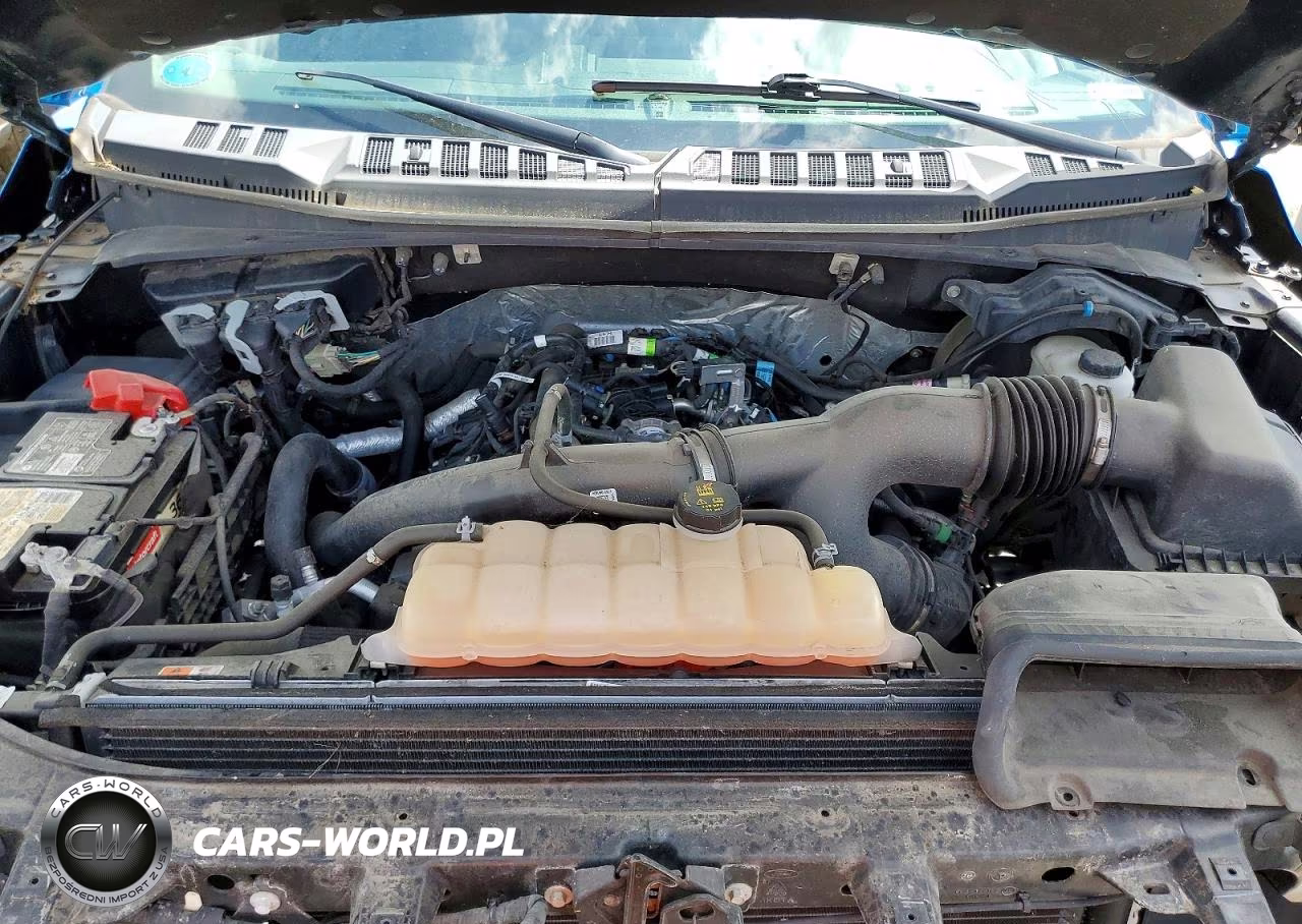 2019 Ford F150 Supercrew VIN:1FTEW1EP4KFA32336 - 11