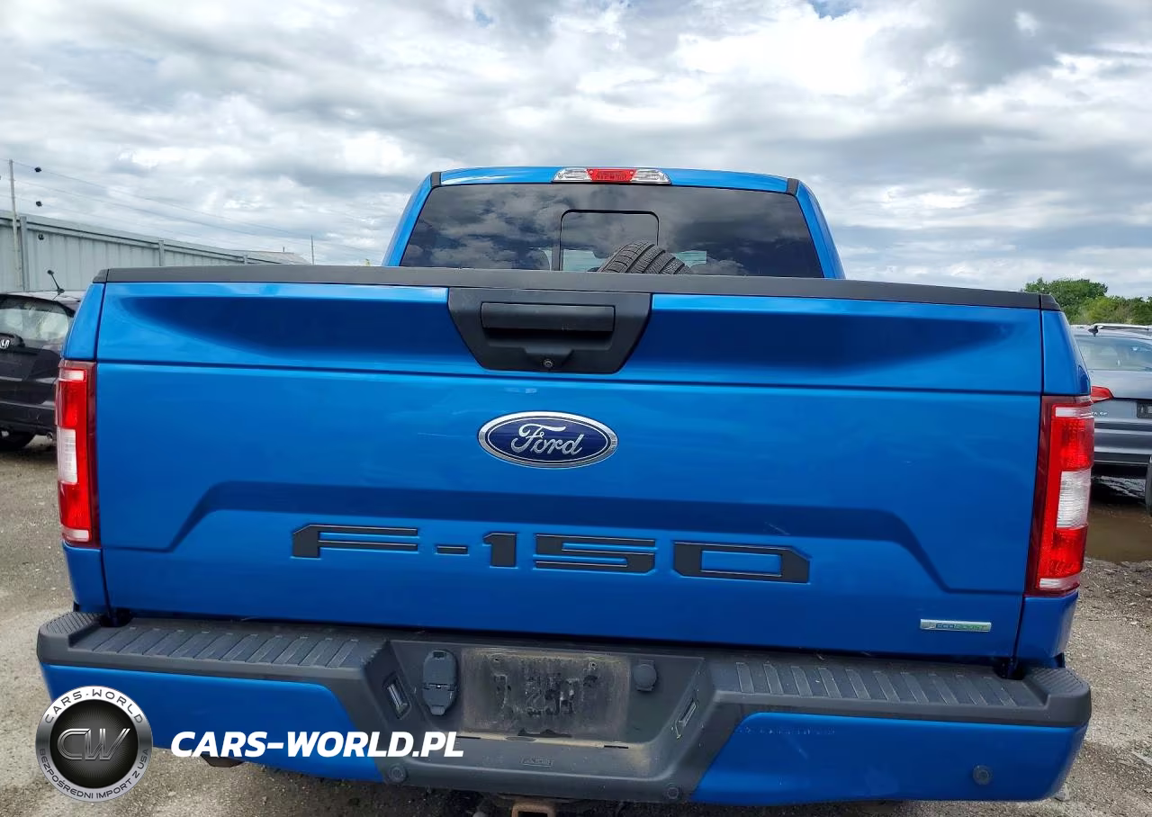 2019 Ford F150 Supercrew VIN:1FTEW1EP4KFA32336 - 6