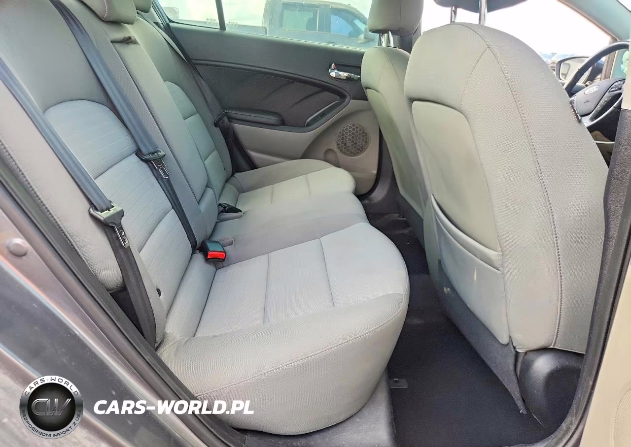 2015 Kia Forte Ex VIN:KNAFX4A82F5268400 - 10