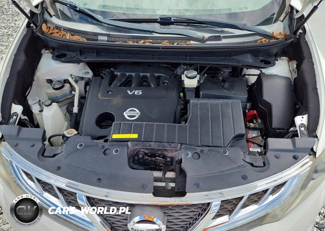 2014 Nissan Murano Crosscabriolet VIN:JN8AZ1FY2EW302721 - 11