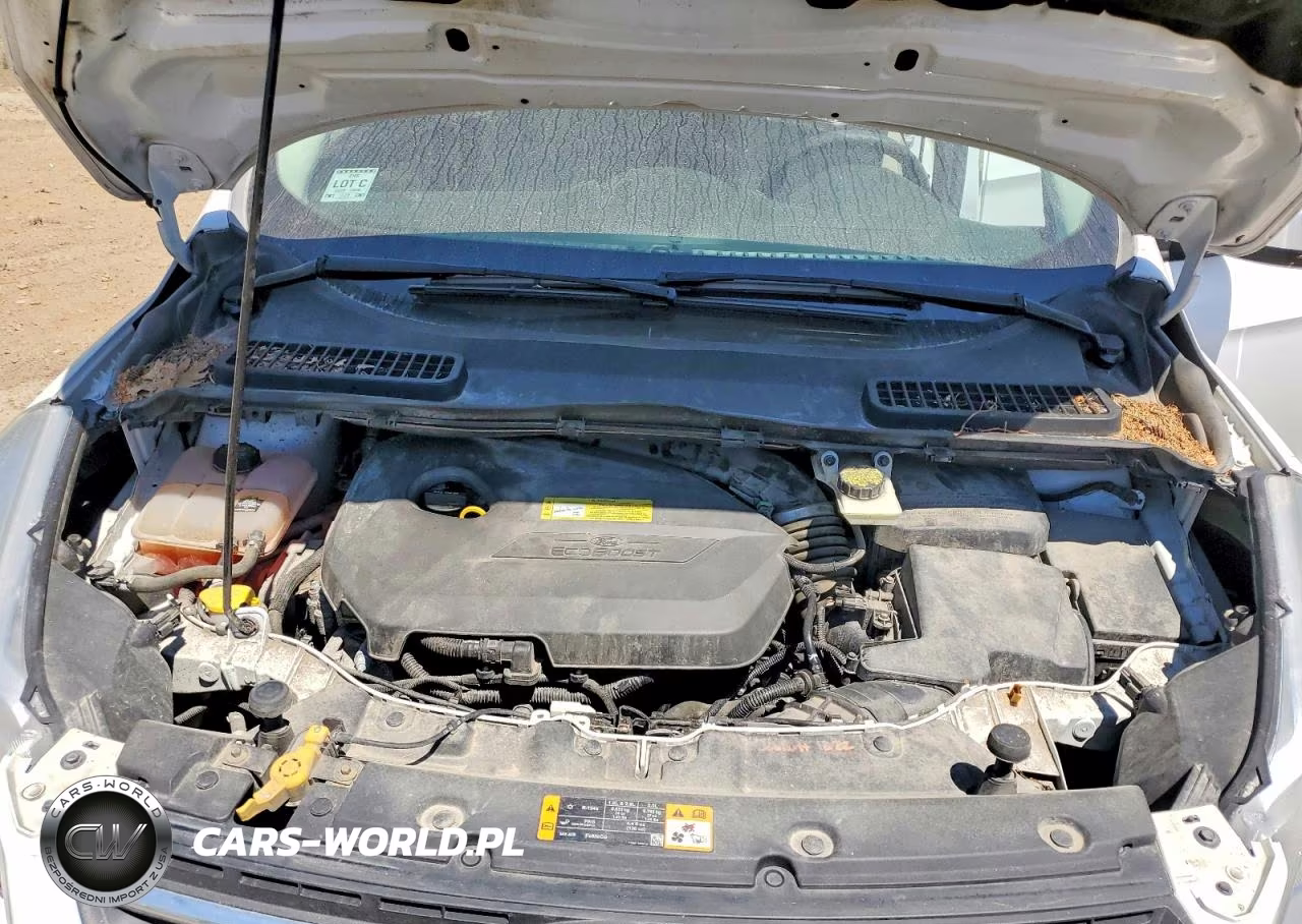 2013 Ford Escape Se VIN:1FMCU9GX7DUD80926 - 12