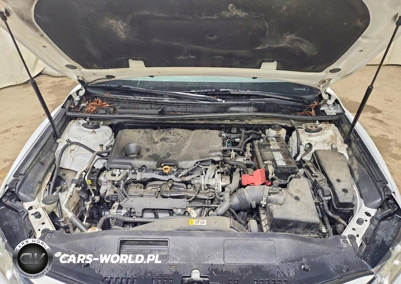 2019 Toyota Camry Le VIN:4T1B11HK3KU221603 - 11