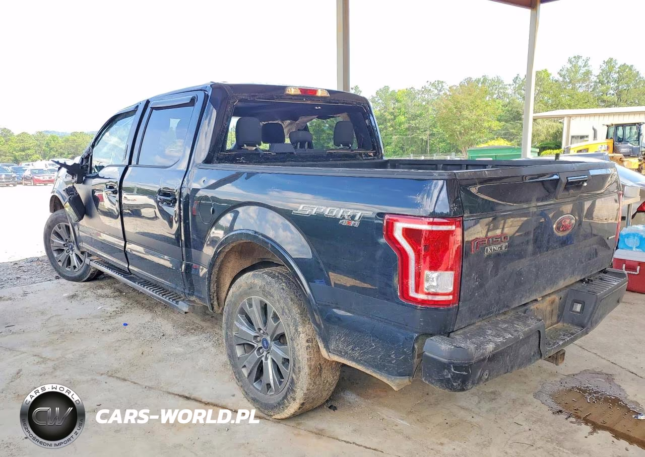 2016 Ford F150 Supercrew VIN:1FTEW1EF0GFD31823 - 2
