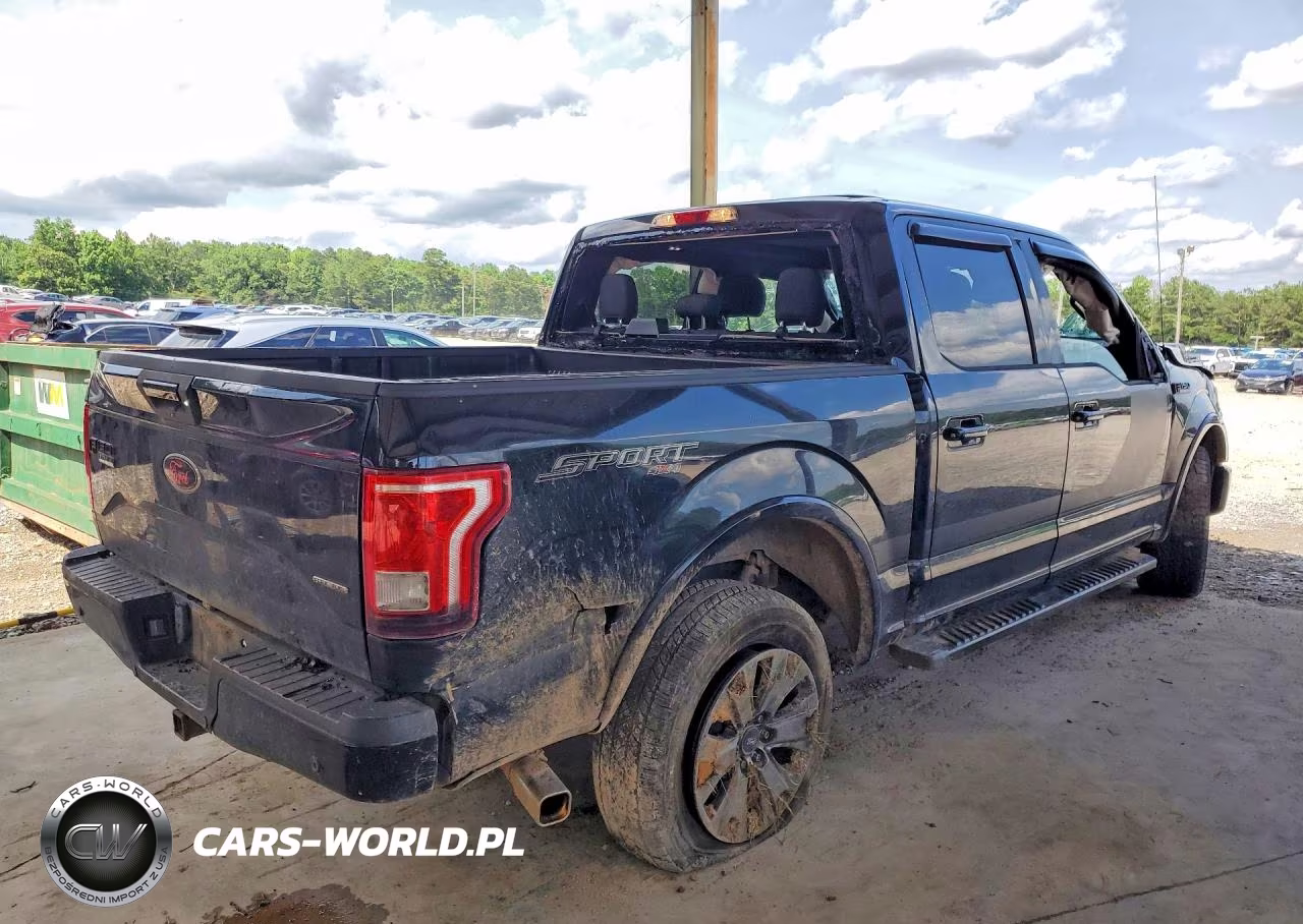 2016 Ford F150 Supercrew VIN:1FTEW1EF0GFD31823 - 3
