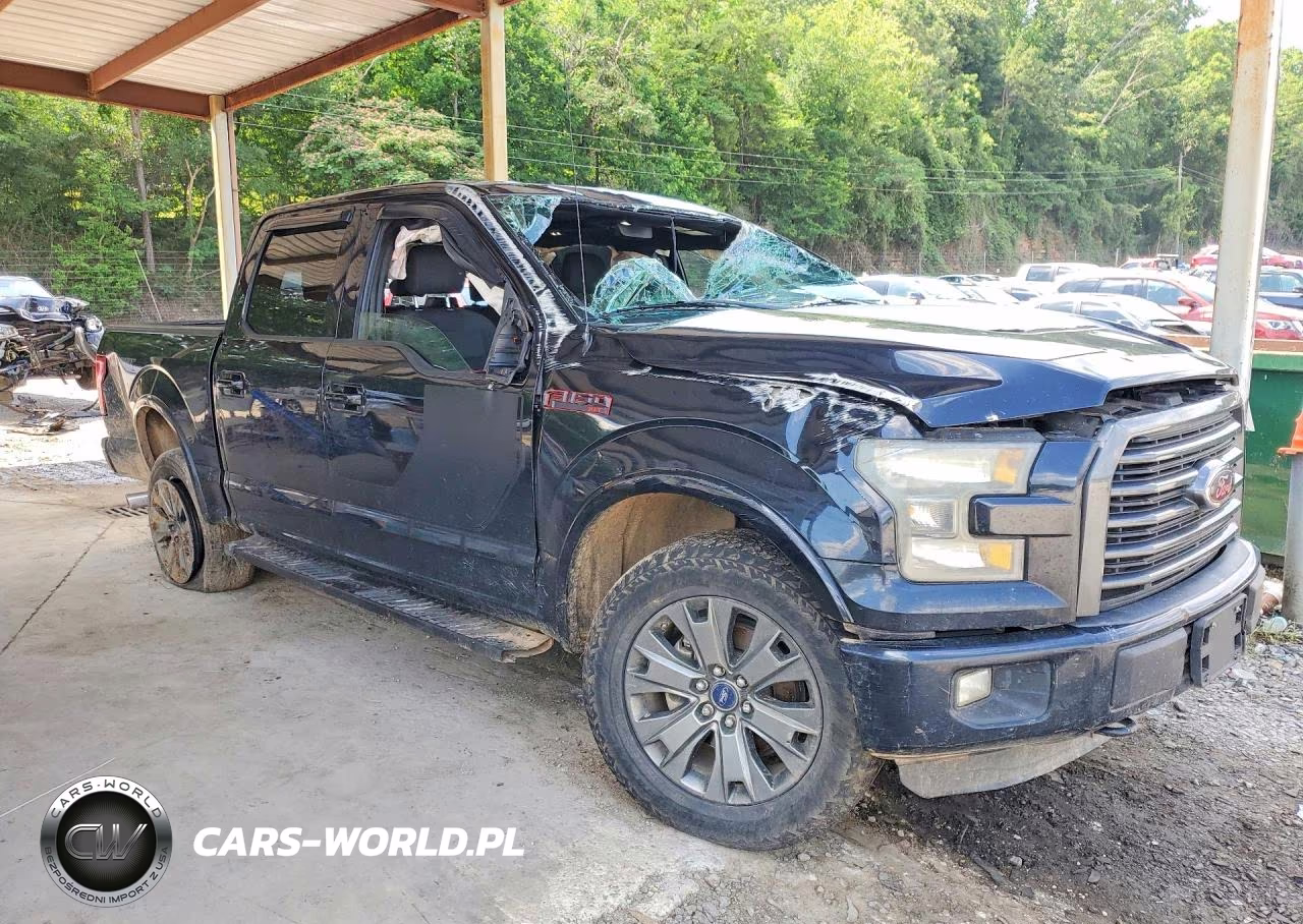 2016 Ford F150 Supercrew VIN:1FTEW1EF0GFD31823 - 4