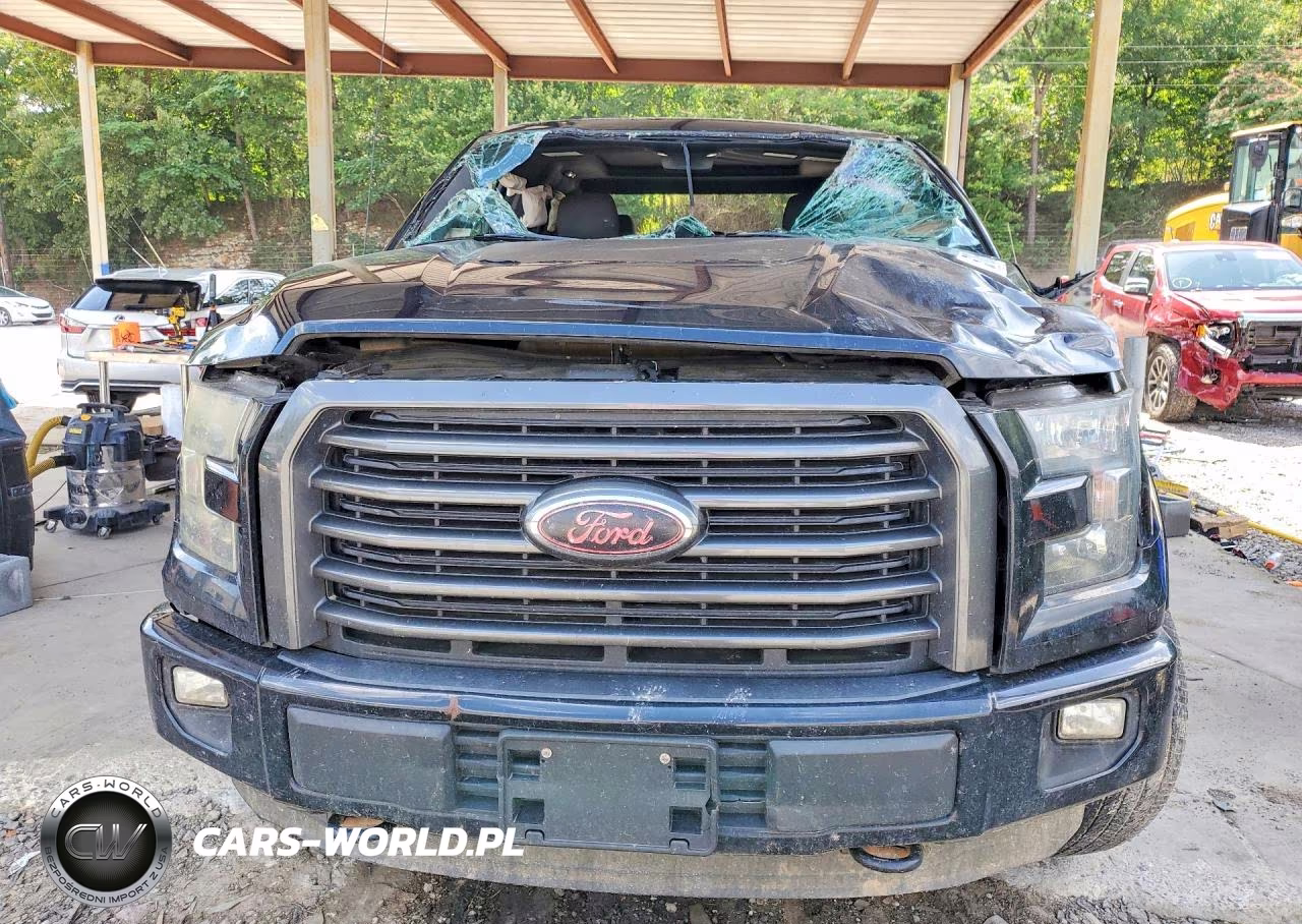 2016 Ford F150 Supercrew VIN:1FTEW1EF0GFD31823 - 5