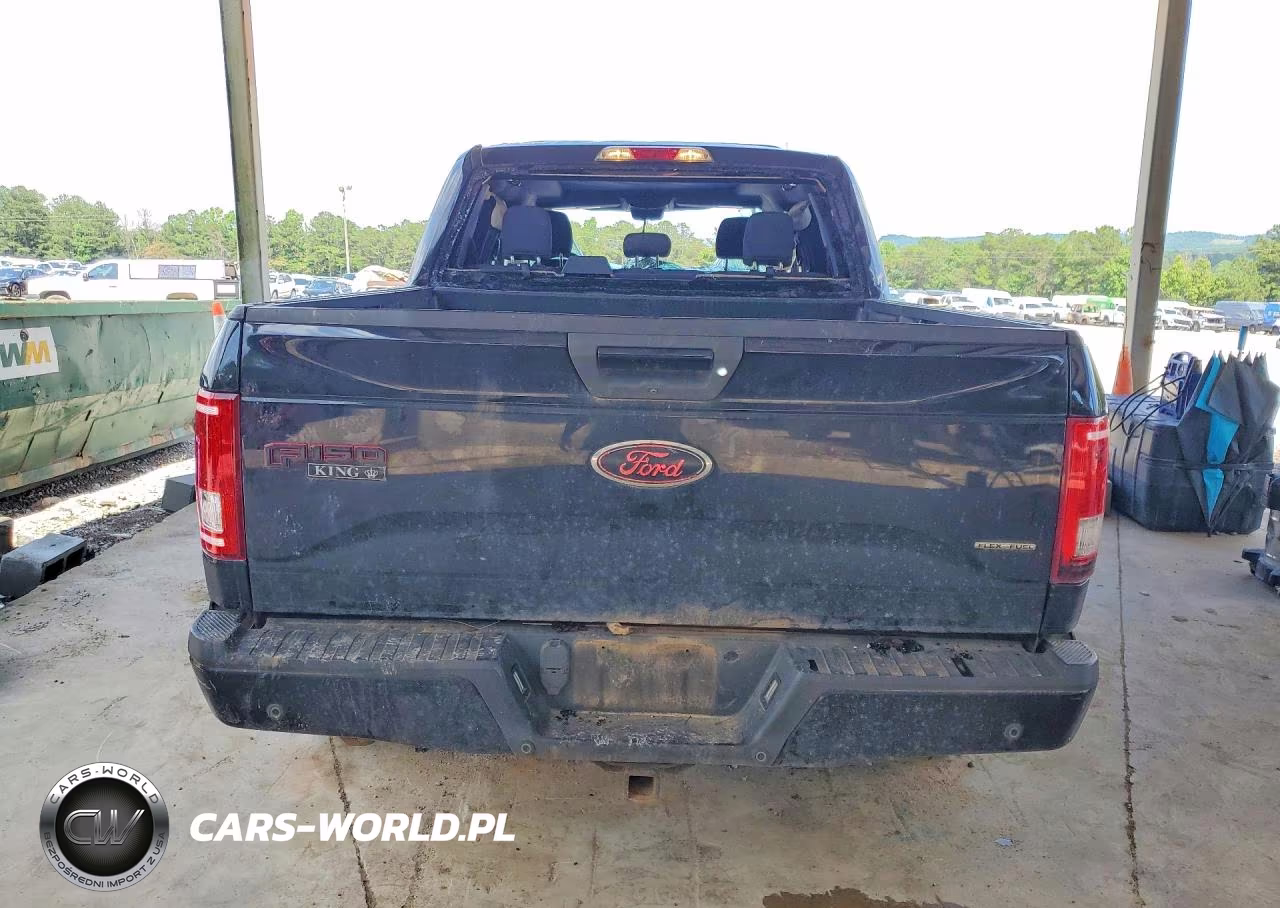 2016 Ford F150 Supercrew VIN:1FTEW1EF0GFD31823 - 6