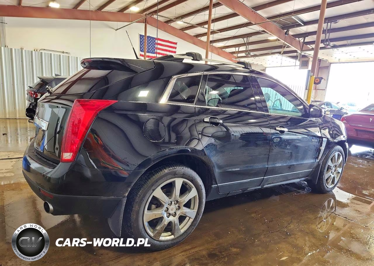 2010 Cadillac Srx Performance Collection VIN:3GYFNEEY7AS646132 - 3