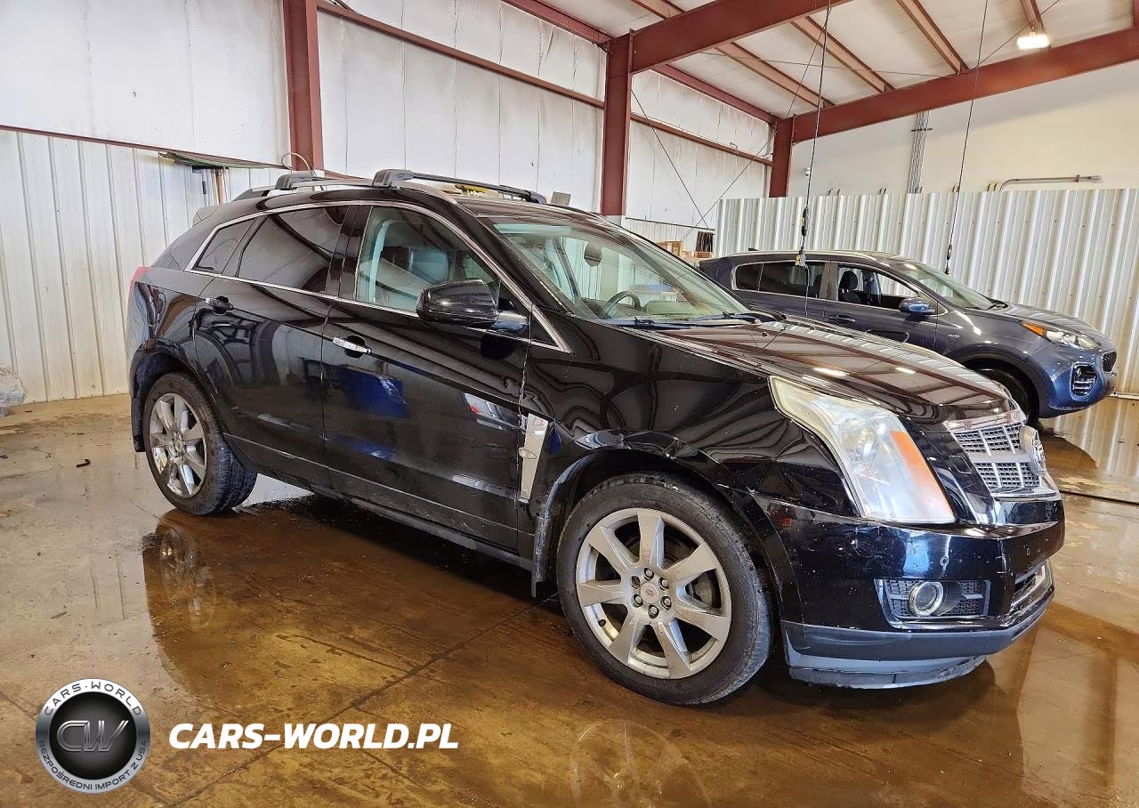 2010 Cadillac Srx Performance Collection VIN:3GYFNEEY7AS646132 - 4
