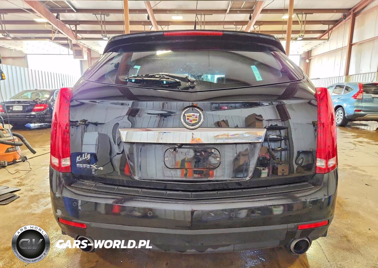 2010 Cadillac Srx Performance Collection VIN:3GYFNEEY7AS646132 - 6