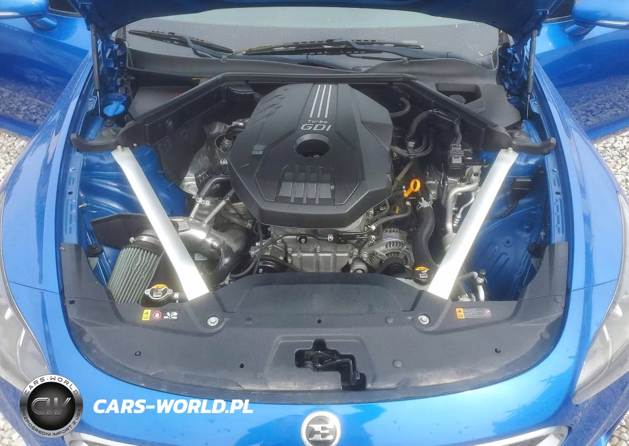 2019 Kia Stinger Premium VIN:KNAE25LA3K6064399 - 11
