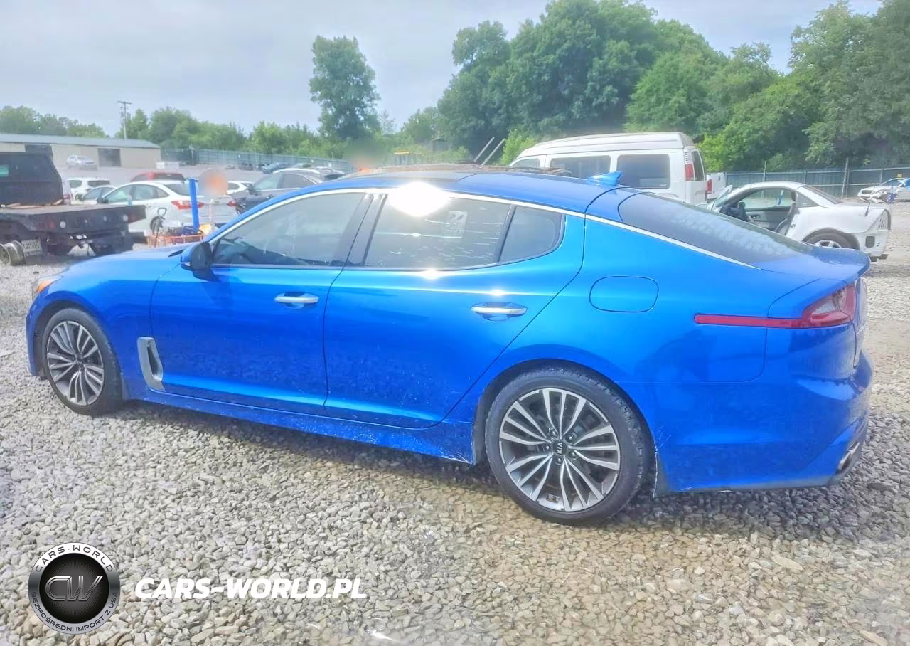 2019 Kia Stinger Premium VIN:KNAE25LA3K6064399 - 2