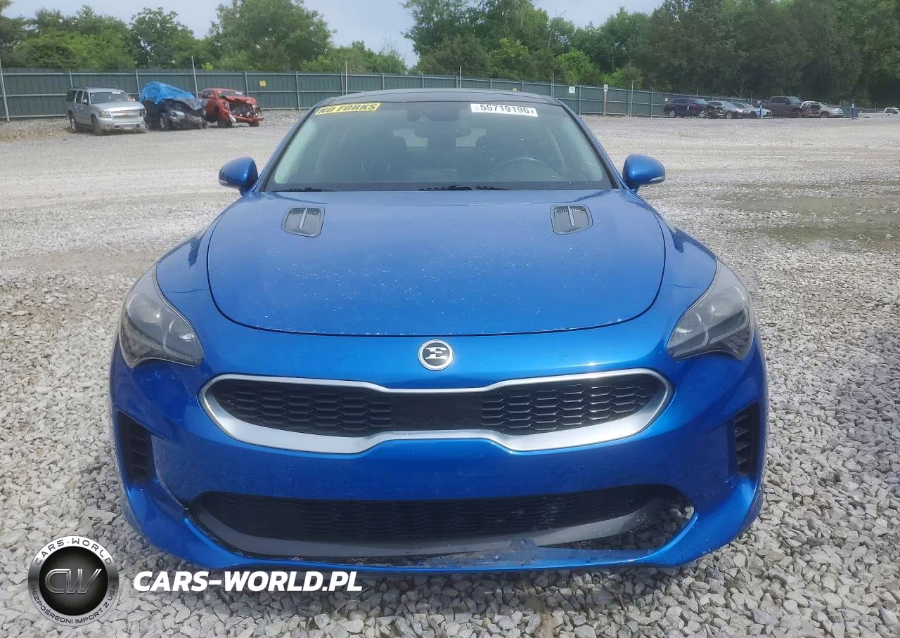 2019 Kia Stinger Premium VIN:KNAE25LA3K6064399 - 5