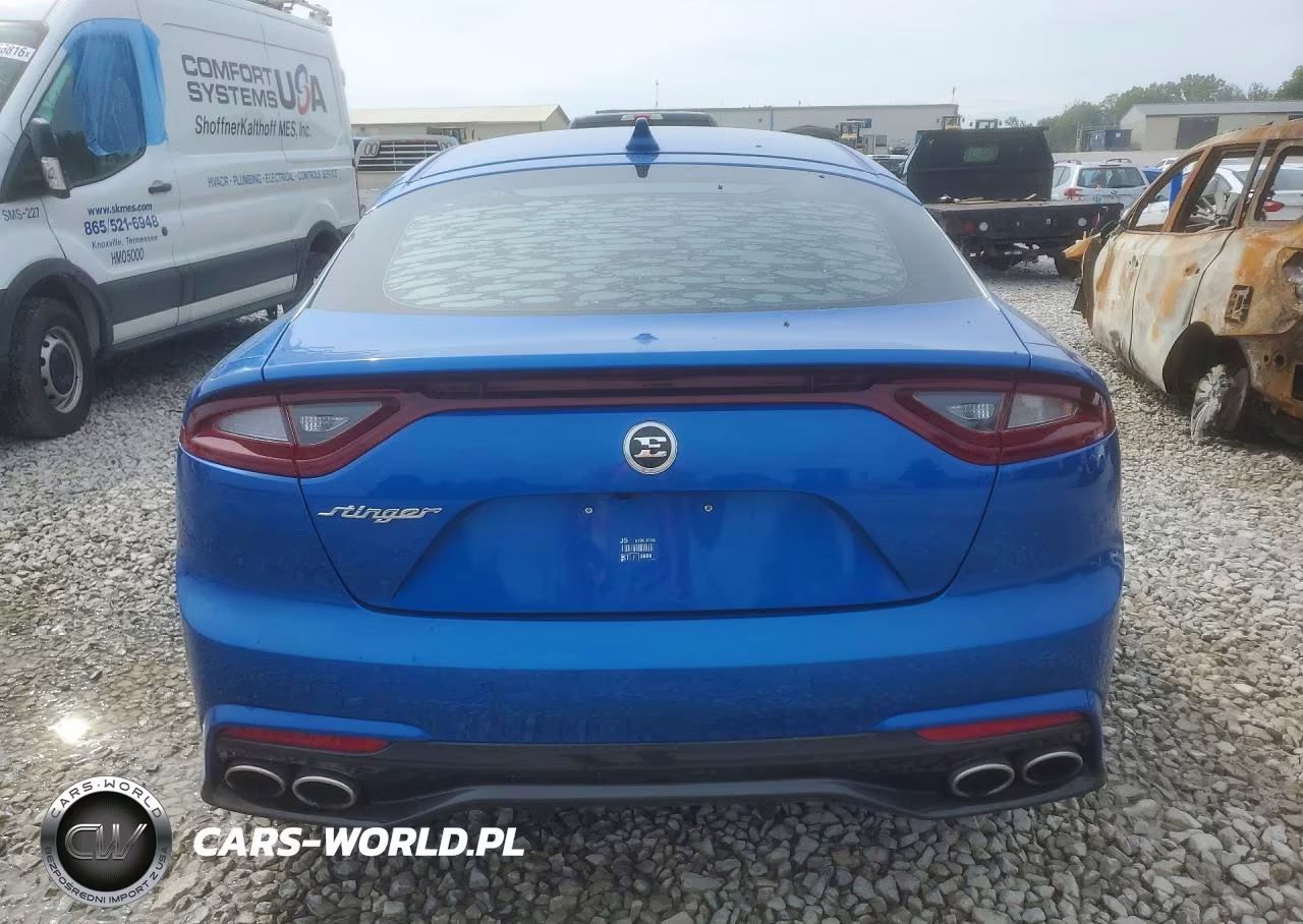 2019 Kia Stinger Premium VIN:KNAE25LA3K6064399 - 6