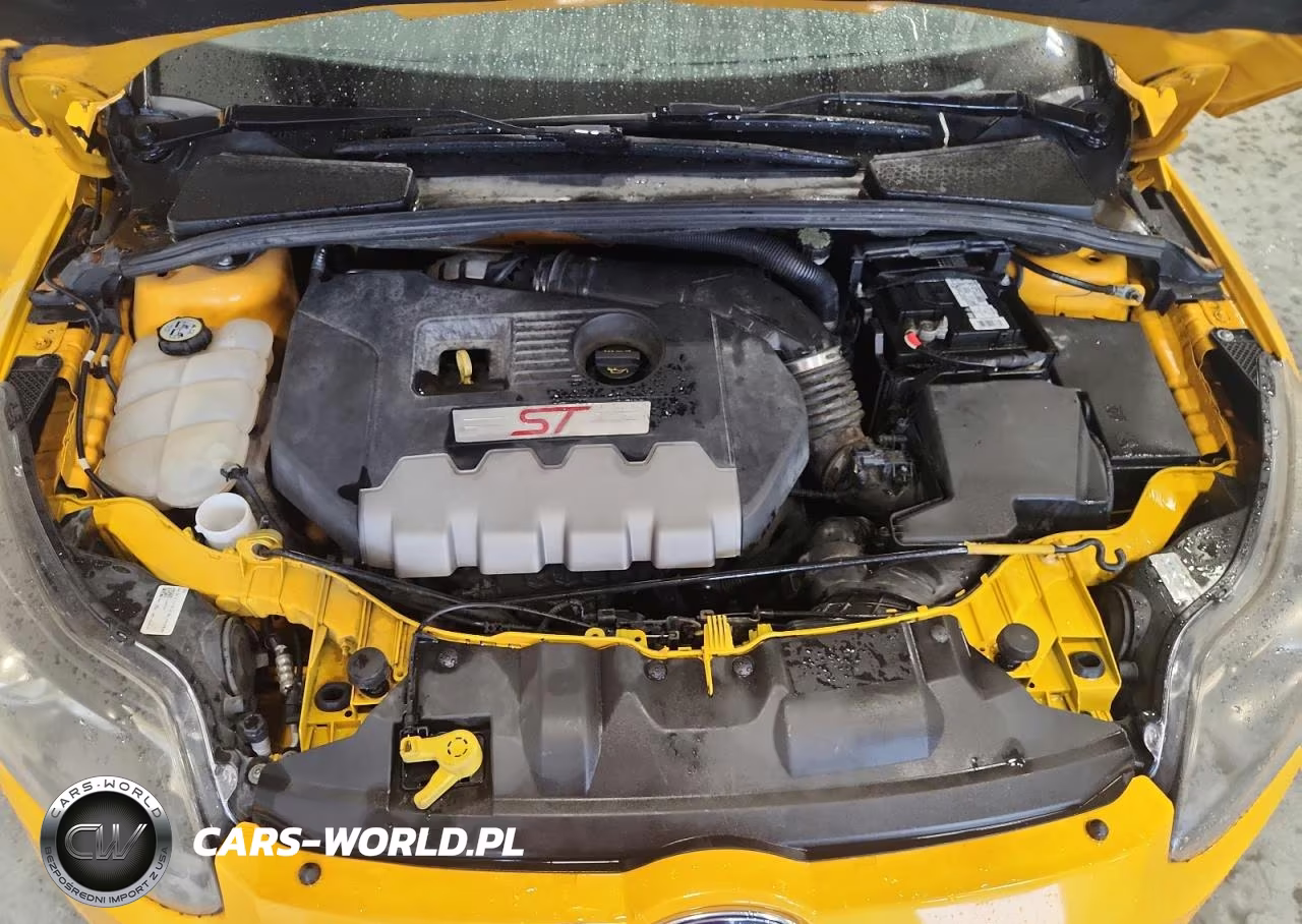 2013 Ford Focus St VIN:1FADP3L94DL362674 - 11