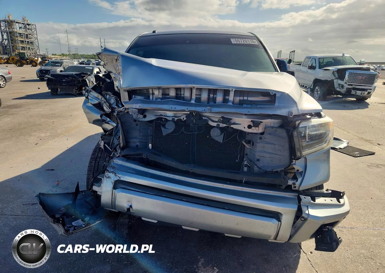 2019 Toyota Tundra Platinum VIN:5TFGY5F18KX250603 - 5