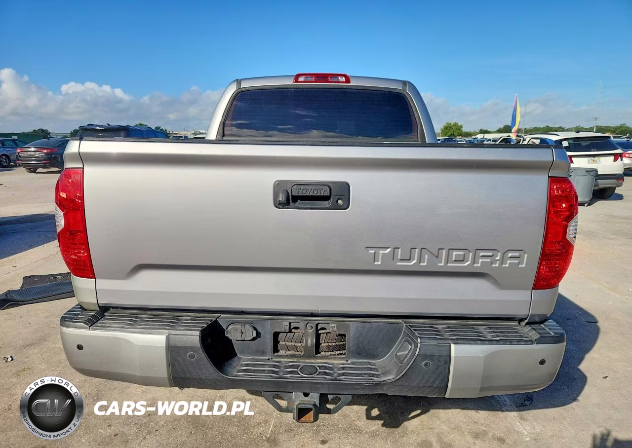 2019 Toyota Tundra Platinum VIN:5TFGY5F18KX250603 - 6