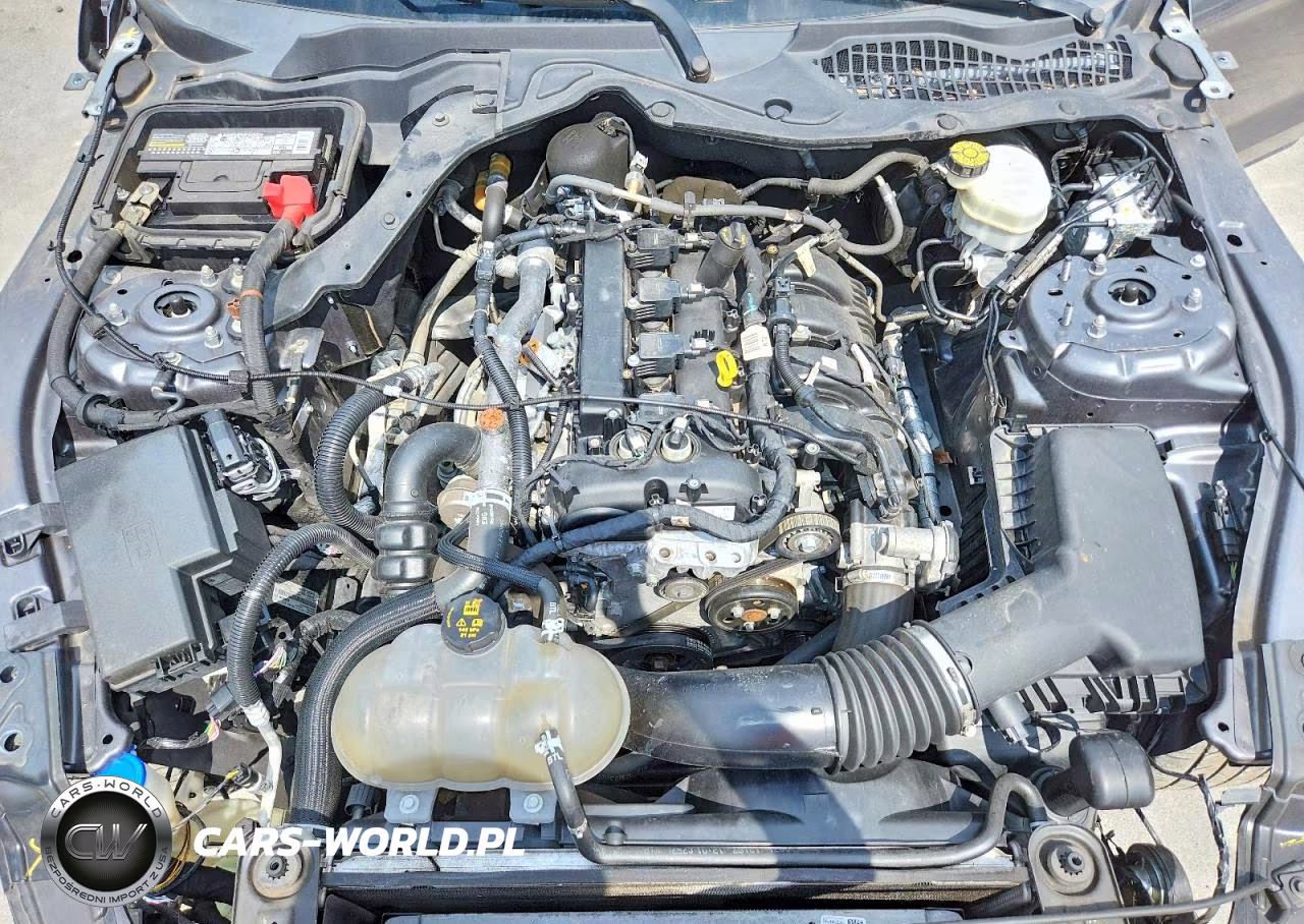 2021 Ford Mustang VIN:1FA6P8TH3M5126664 - 11