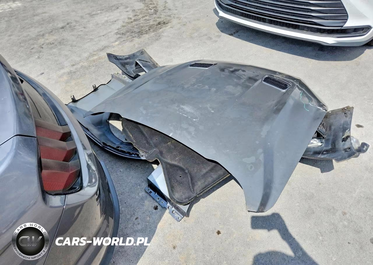 2021 Ford Mustang VIN:1FA6P8TH3M5126664 - 12