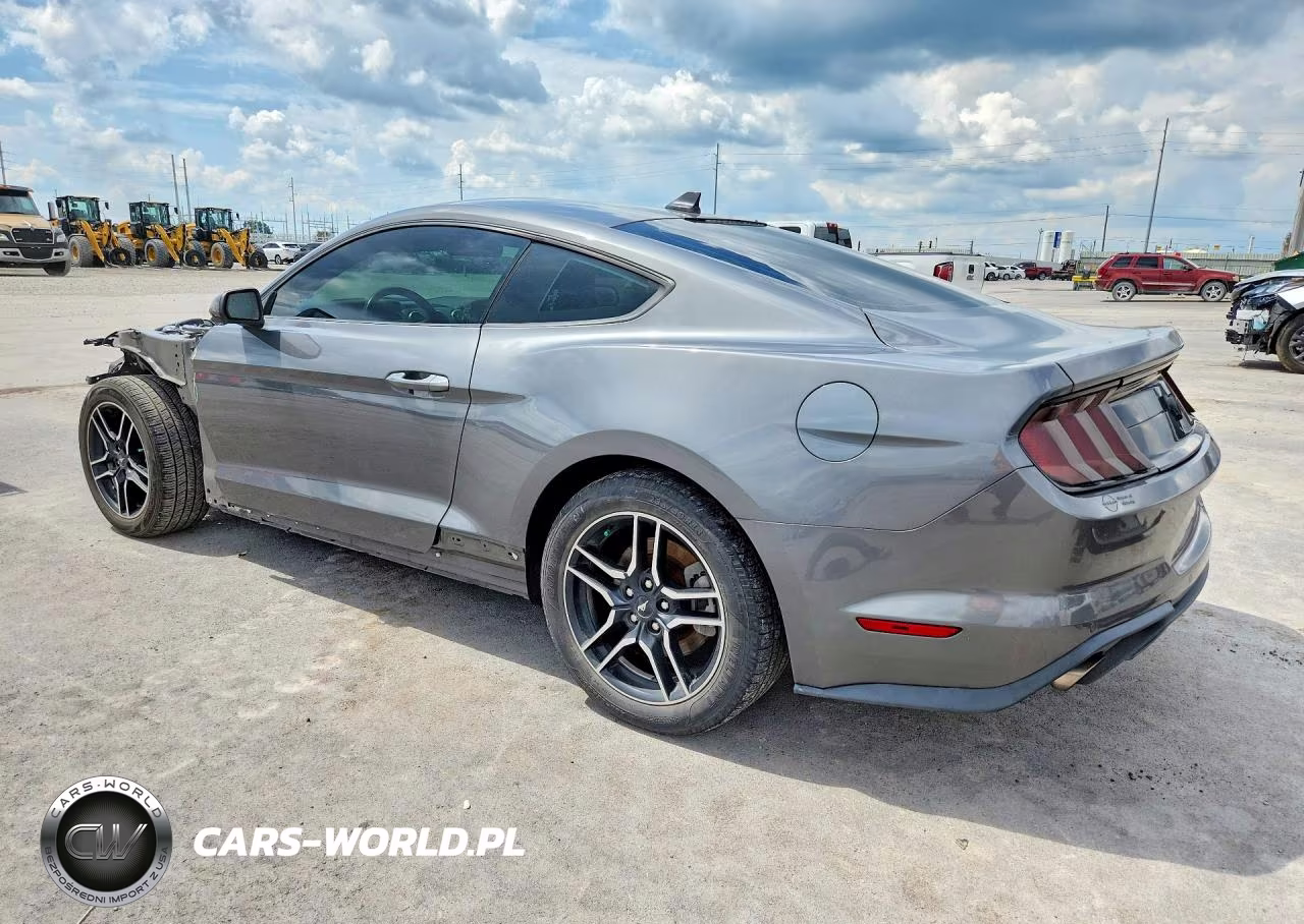 2021 Ford Mustang VIN:1FA6P8TH3M5126664 - 2
