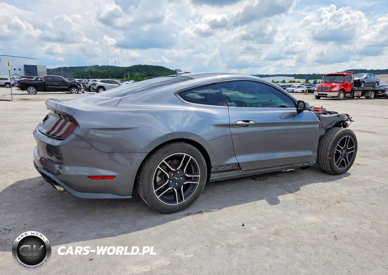 2021 Ford Mustang VIN:1FA6P8TH3M5126664 - 3