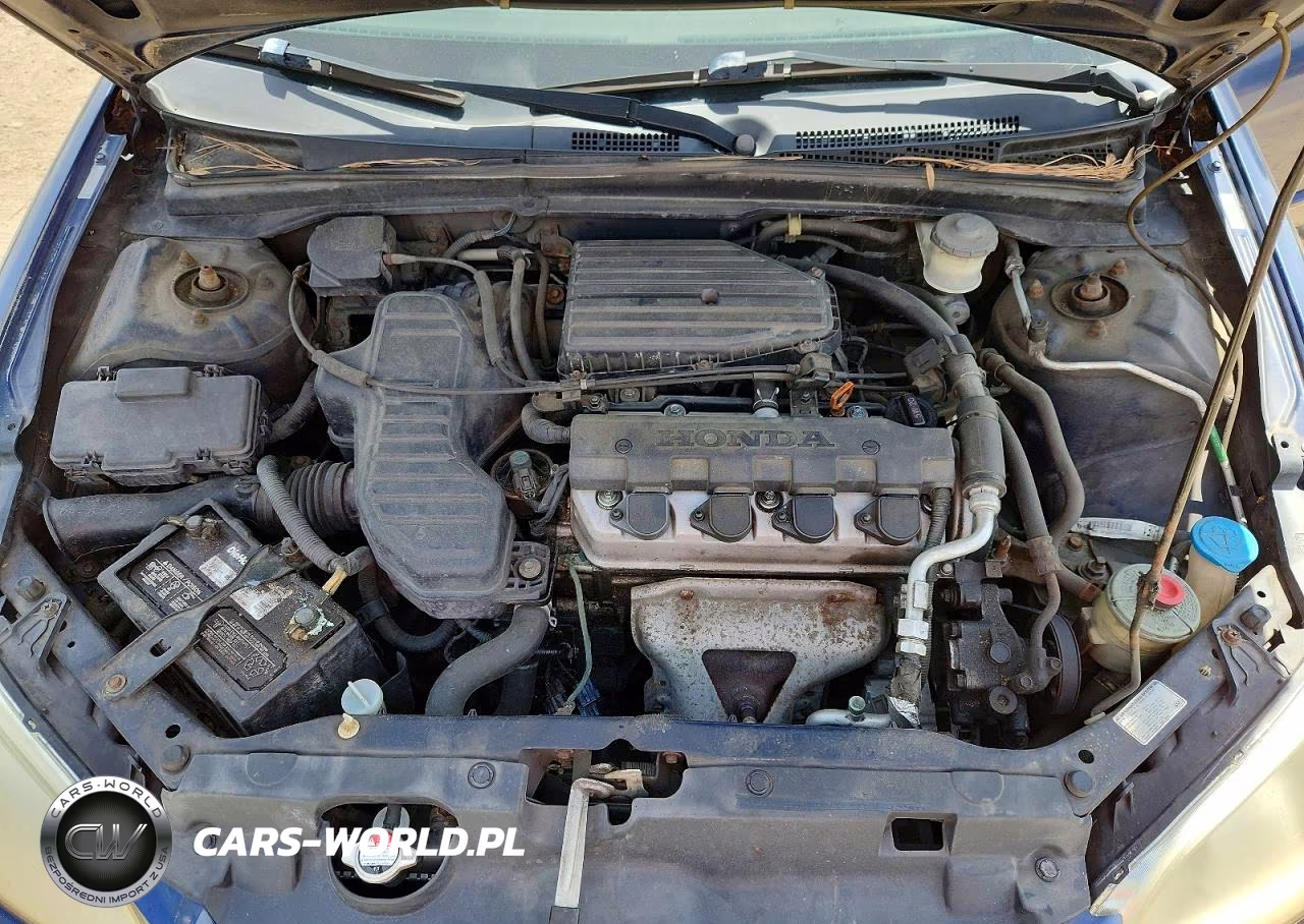 2004 Honda Civic Lx VIN:2HGES16554H587890 - 11
