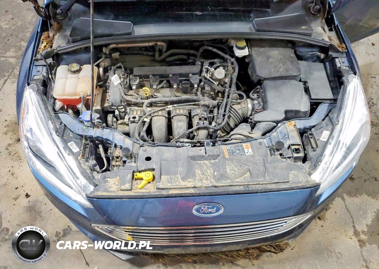 2018 Ford Focus Titanium VIN:1FADP3N29JL244583 - 11