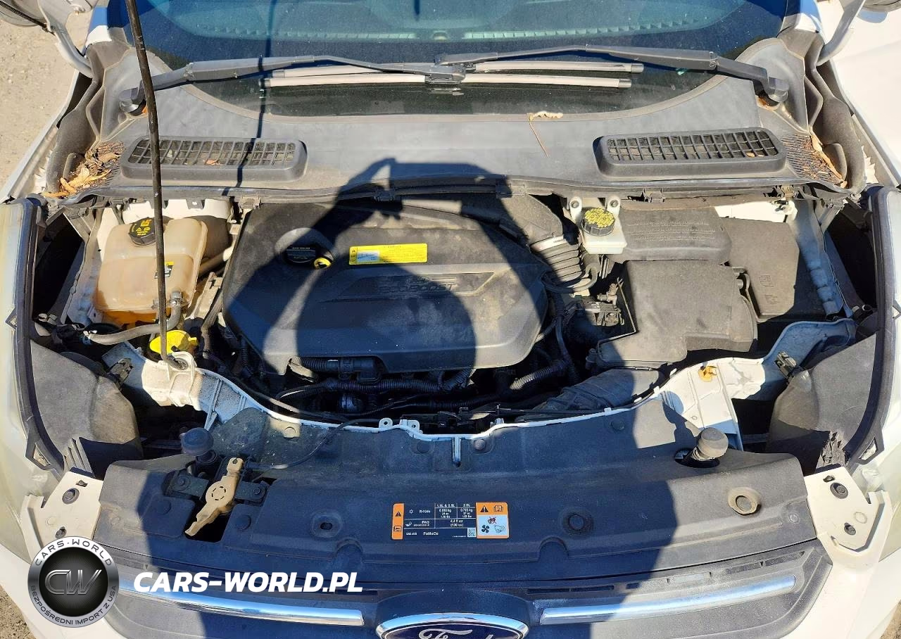 2013 Ford Escape VIN:1FMCU0GX2DUA30390 - 12
