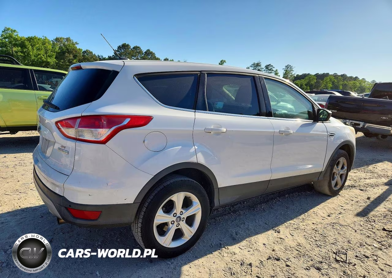 2013 Ford Escape VIN:1FMCU0GX2DUA30390 - 3