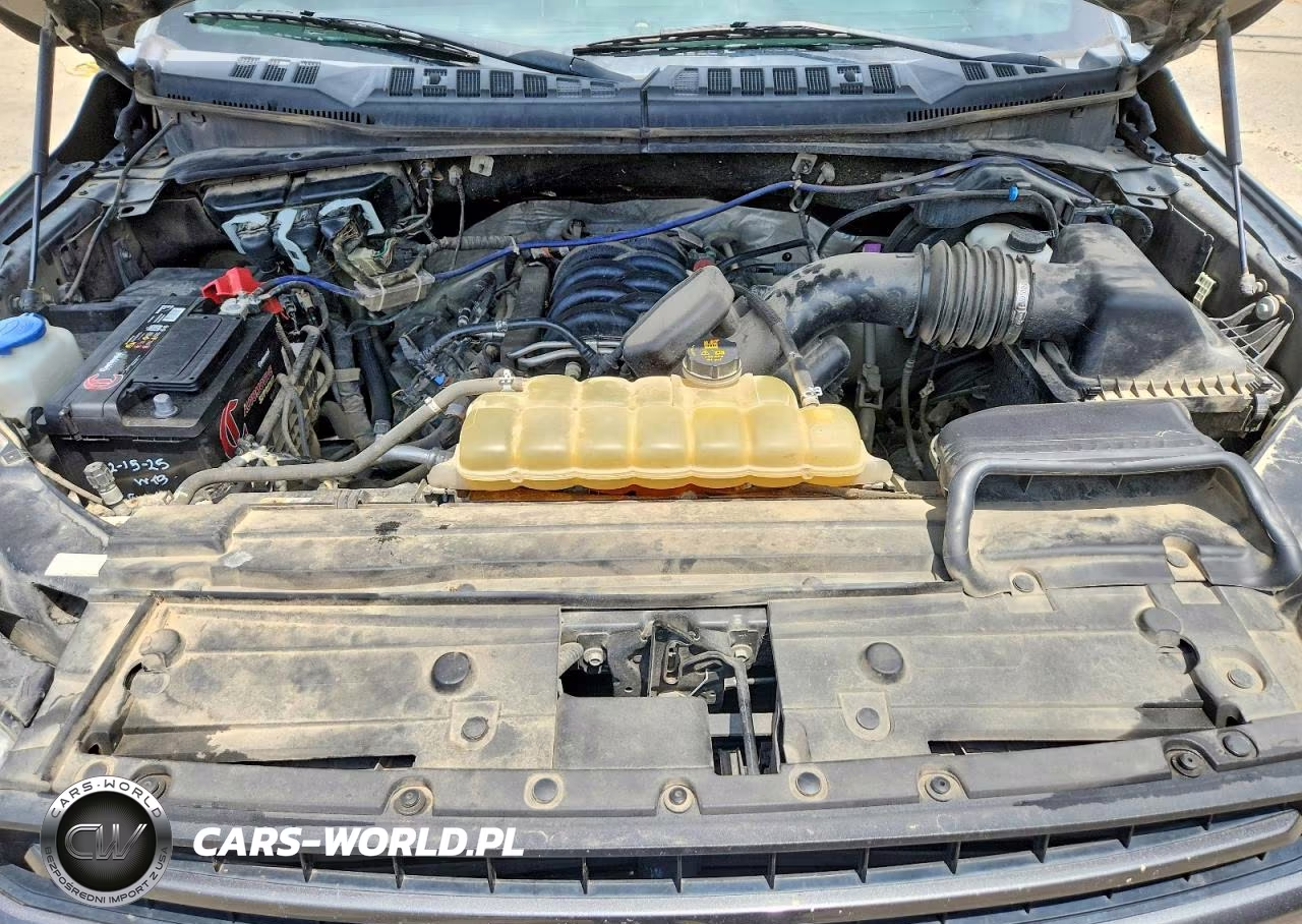 2019 Ford F150 Supercrew VIN:1FTEW1E55KKC45933 - 11